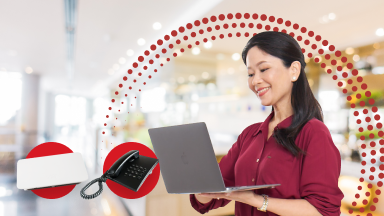 MSME FiberBiz 300 Mbps